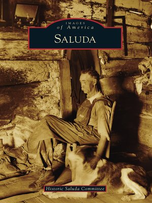 cover image of Saluda
